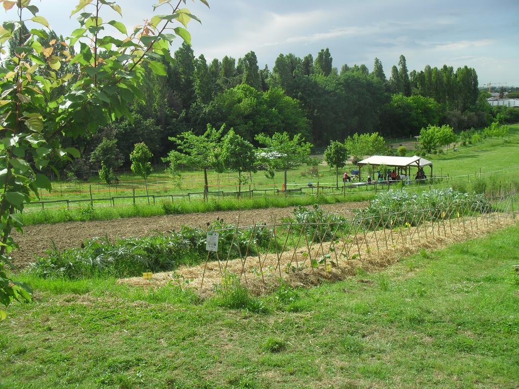 Agriturismo Case Mori Rimini Eksteriør billede